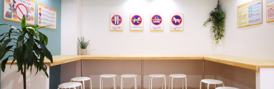 コインランドリー シュシュ -Coin Laundry Chou Chou-